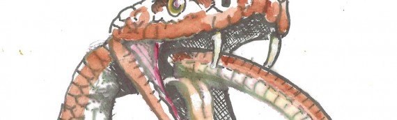 The Mathew Effect, and other Problems of Science