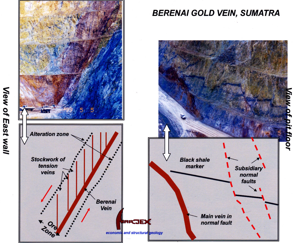 Photos Berenai Vein Sumatra