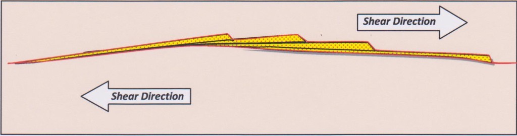 Section through shingled veins