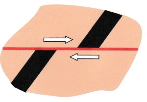 The movement of faults Fig 2 jpg