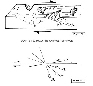 Lunate tectoglyphs line diagram