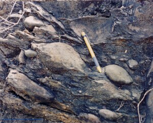 Sheared conglomerate, Gympie