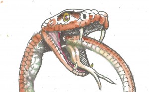 Ouroboros cropped