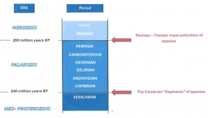 Paleozoic Subdivisions