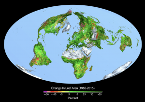 Global Greening
