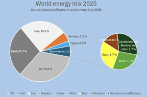 World Energy Mix 2025